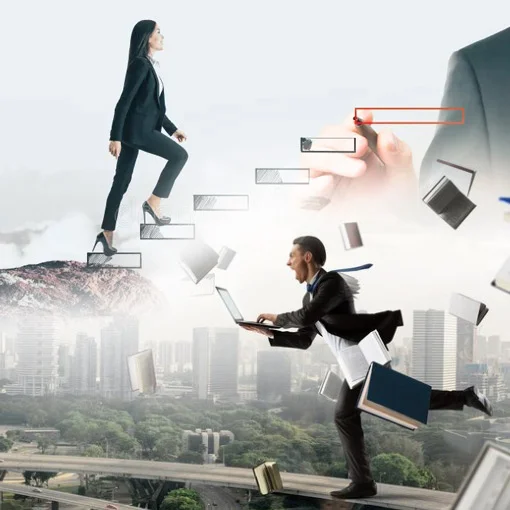 Career & Business Guidance